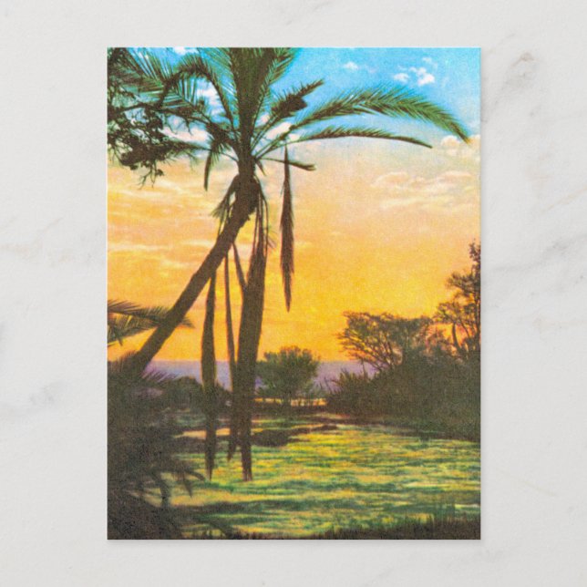 Replica  Vintage Zambezi River, above Falls Postcard (Front)