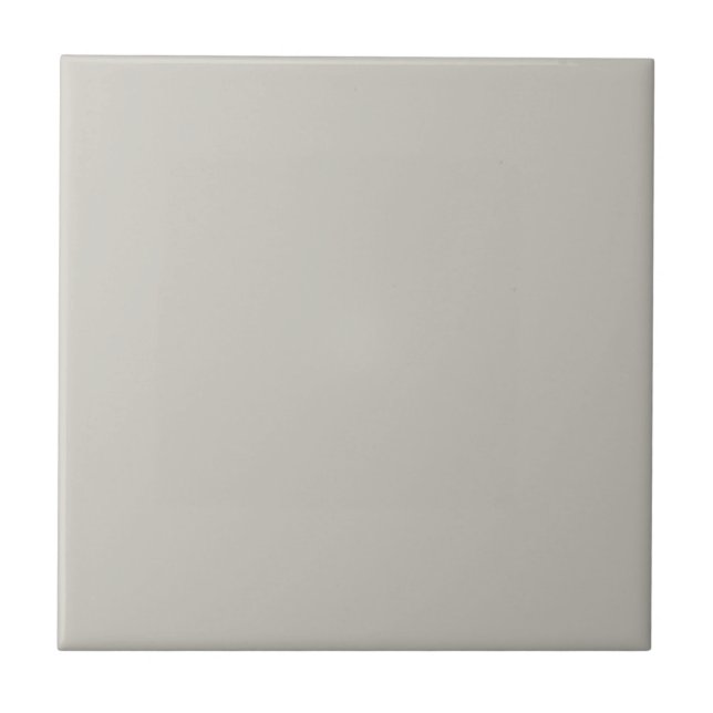 Repose Grey Solid Colour Ceramic Tile (Front)