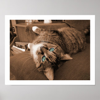 Repose in Twill Poster