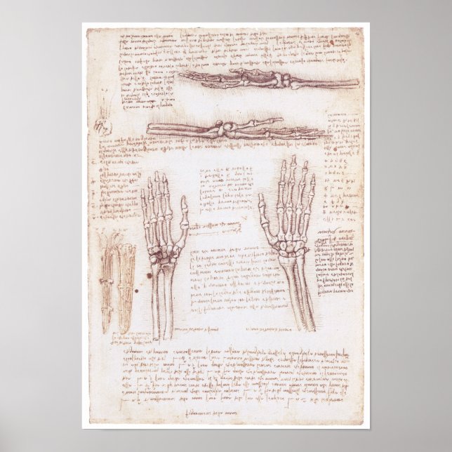 Representation of the Hand, Leonardo da Vinci Poster (Front)