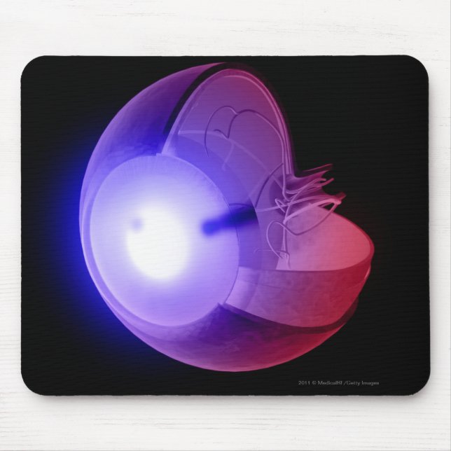 Representation of the structure of the eye mouse pad (Front)
