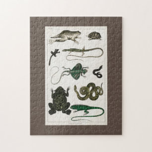 reptile, cute, lizard, animal, reptiles, turtle jigsaw puzzle