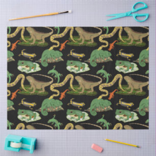 Reptile, Lizards & Amphibians Pattern Tissue Paper