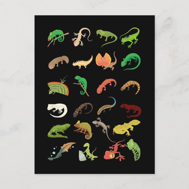 Reptile Types Cute Gecko Lizard Postcard (Front)