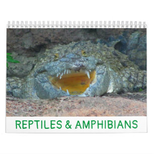 Reptiles & Amphibians Calendar