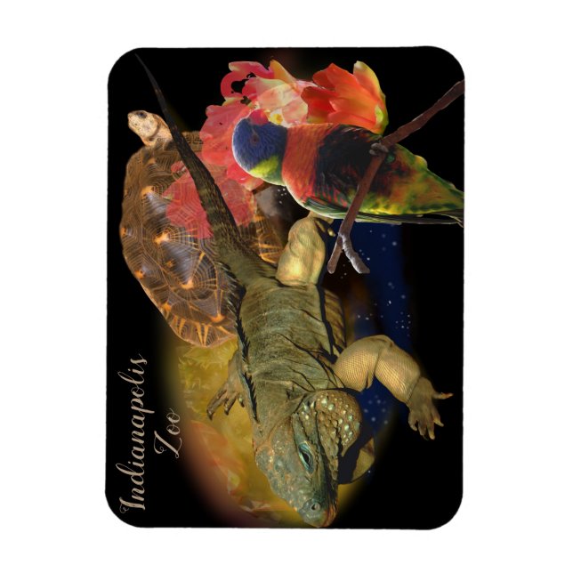 Reptiles and Birds from Indianapolis Zoo Magnet (Vertical)