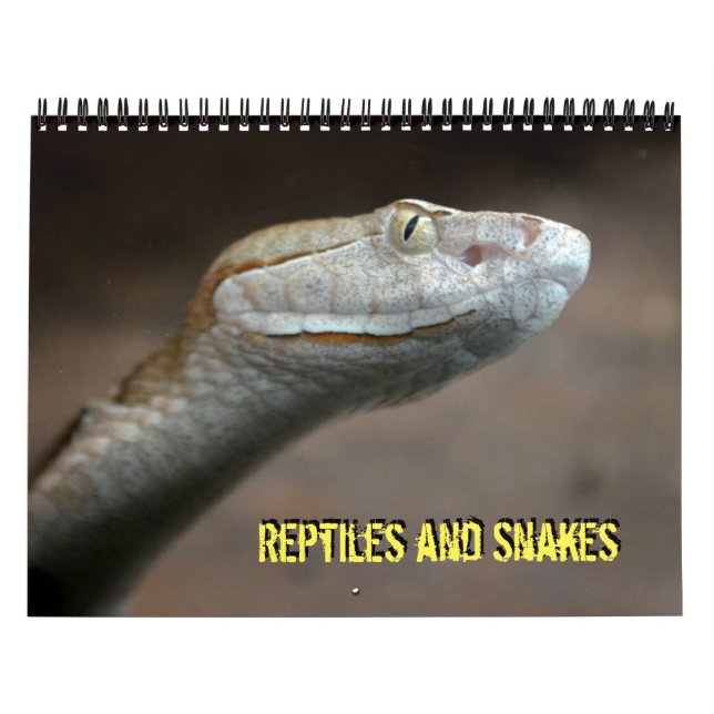 Reptiles and Snakes Calendar (Cover)