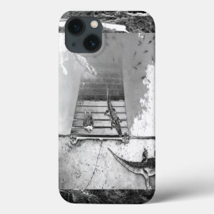 Reptiles Basking iPhone 13 Case