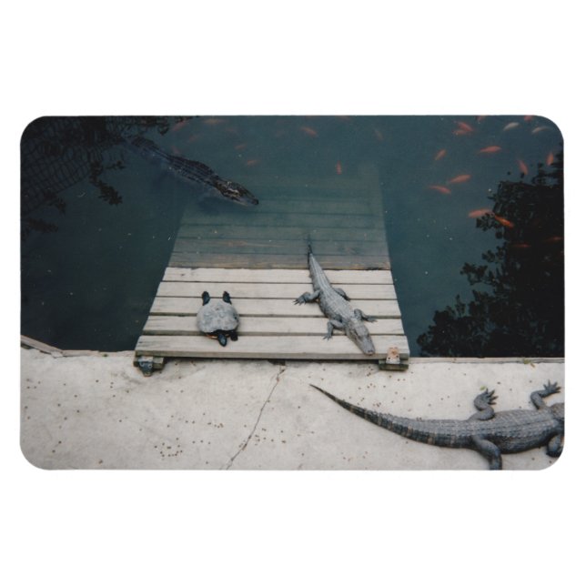 Reptiles Basking Magnet (Horizontal)