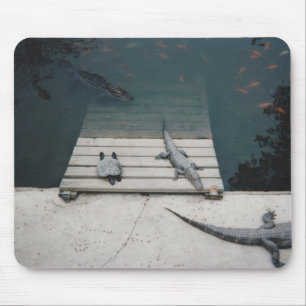 Reptiles Basking Mouse Pad