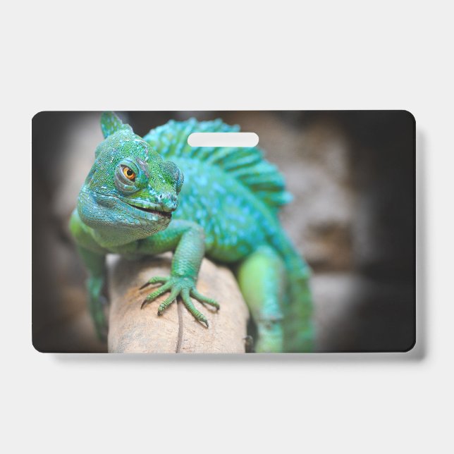 reptiles, nature, lizards ID badge (Front)