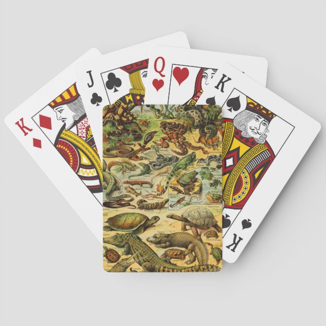 REPTILES  PLAYING CARDS (Back)