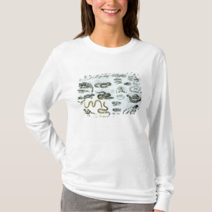 Reptiles, Serpents and Lizards T-Shirt