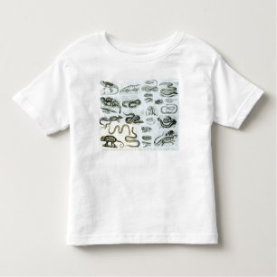 Reptiles, Serpents and Lizards Toddler T-Shirt