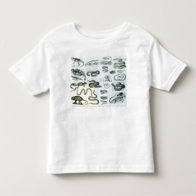 Reptiles, Serpents and Lizards Toddler T-Shirt (Front)