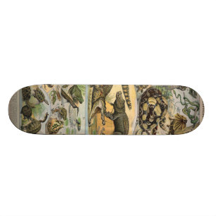 Reptiles Skateboard