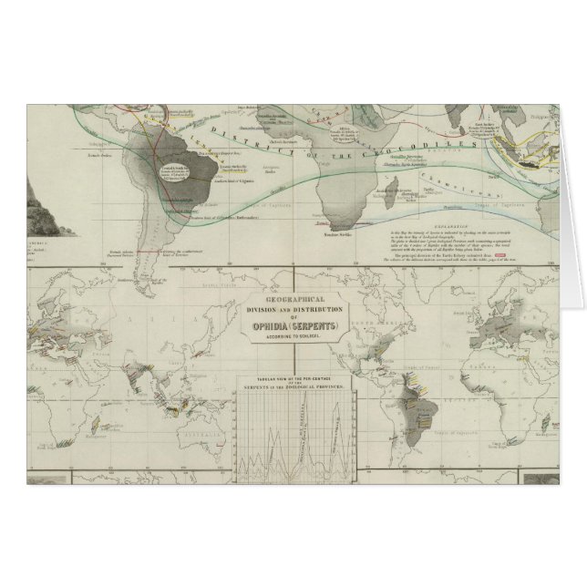 Reptilia, Ophidia (Front Horizontal)