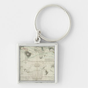 Reptilia, Ophidia Key Ring