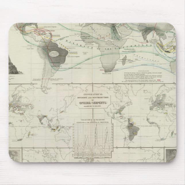 Reptilia, Ophidia Mouse Pad (Front)