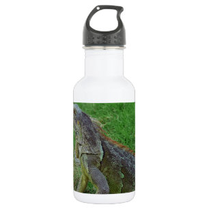 Reptilian Look.JPG 532 Ml Water Bottle
