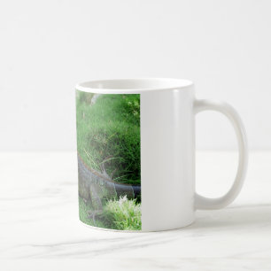 Reptilian Look.JPG Coffee Mug