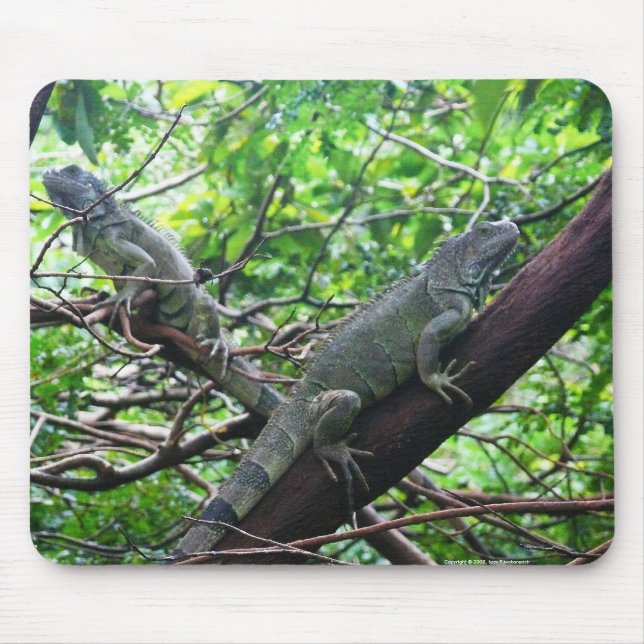 Reptilian Repose Mouse Pad (Front)