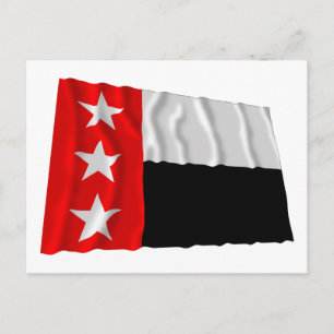 Republic of the Rio Grande Flag Postcard