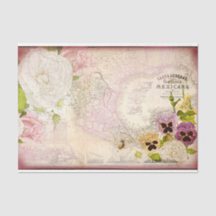 Republica Mexicana Map Decoupage Tissue Paper