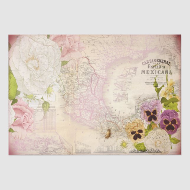 Republica Mexicana Map Decoupage  Tissue Paper (Front)