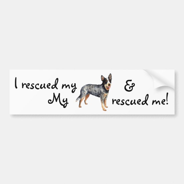 Rescue ACD Bumper Sticker (Front)