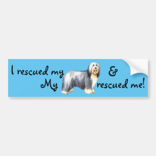 Rescue Bearded Collie Bumper Sticker