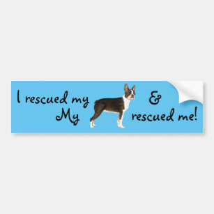 Rescue Boston Terrier Bumper Sticker