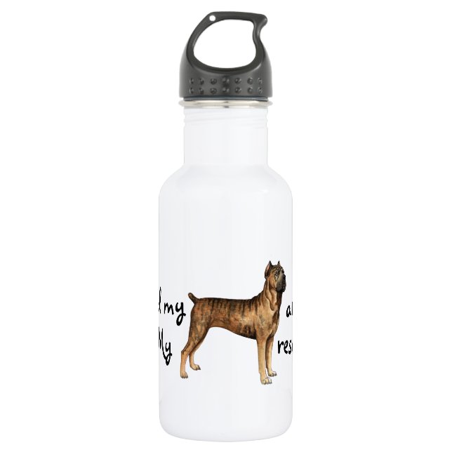 Rescue Cane Corso 532 Ml Water Bottle (Front)