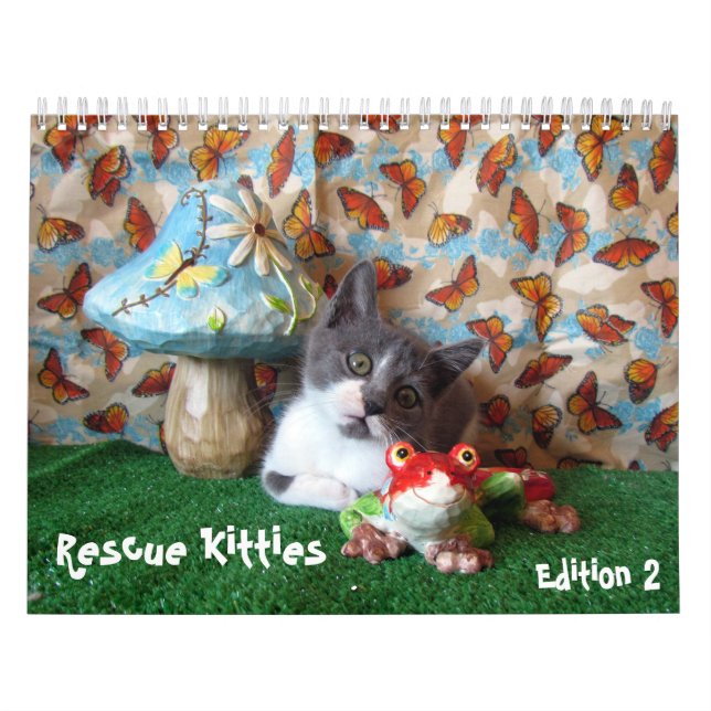 Rescue Cat Calendar - Edition 2 (Cover)