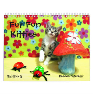 Rescue Cat Calendar -- Edition 3