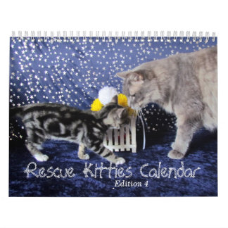 Rescue Cat Calendar - Edition 4