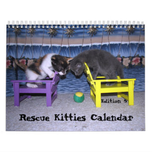 Rescue Cat Calendar - Edition 5
