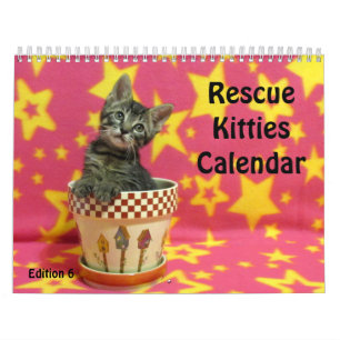 Rescue Cat Calendar - Edition 6