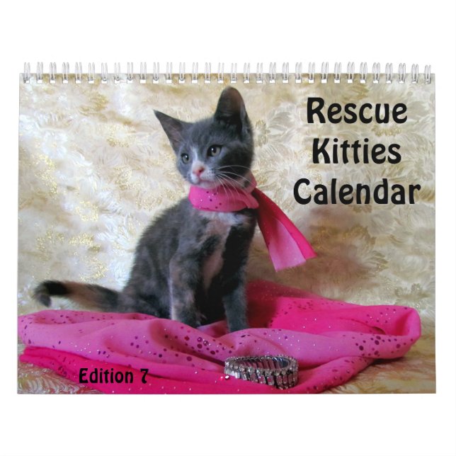 Rescue Cat Calendar - Edition 7 (Cover)