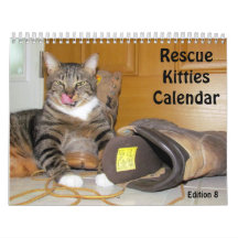 Rescue Cat Calendar - Edition 8