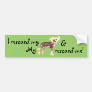 Rescue Chinese Crested Bumper Sticker
