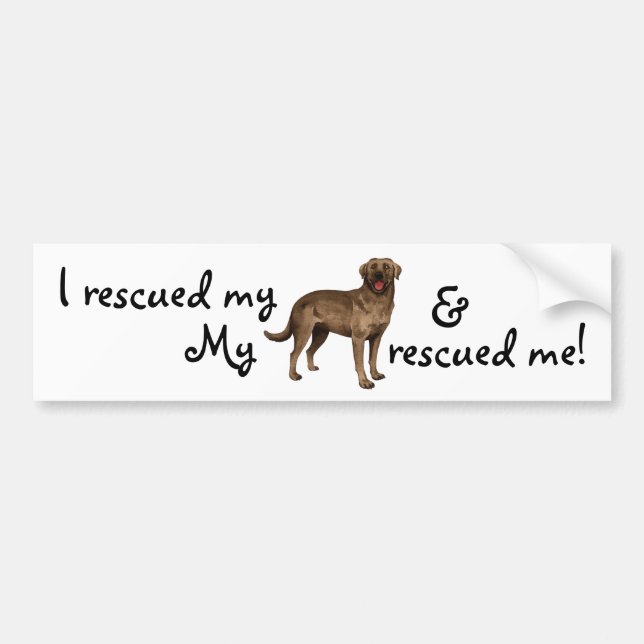 Rescue Chocolate Lab Bumper Sticker (Front)
