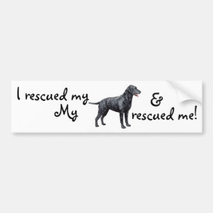 Rescue Curly-Coated Retriever Bumper Sticker