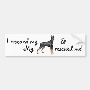 Rescue Doberman Pinscher Bumper Sticker