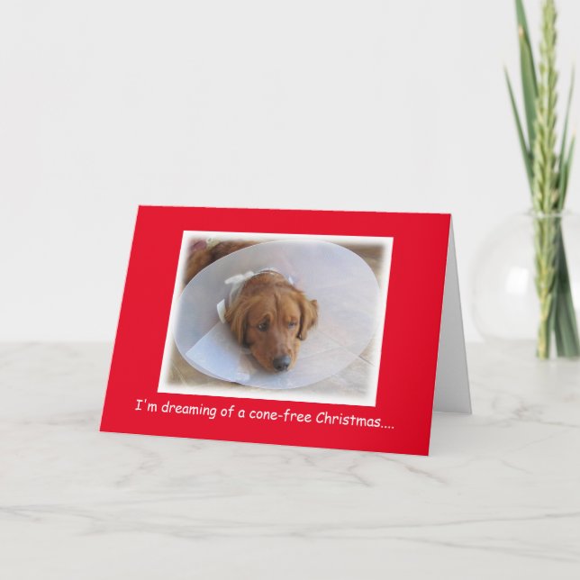 Rescue Dog in Cone Christmas Card (Front)