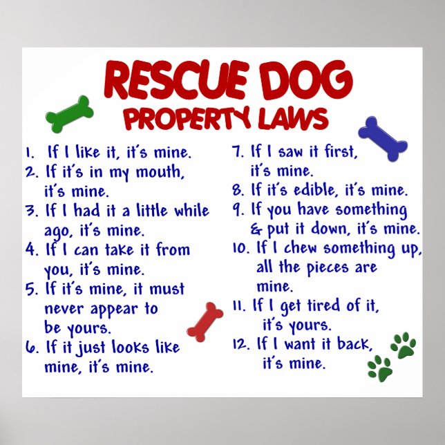 RESCUE DOG PL2 POSTER (Front)