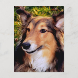 Rescue Dog Postcard