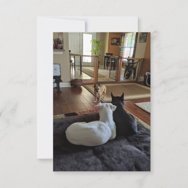 Rescue Dogs 3.5" x 5" Flat Thank You Card (Front)