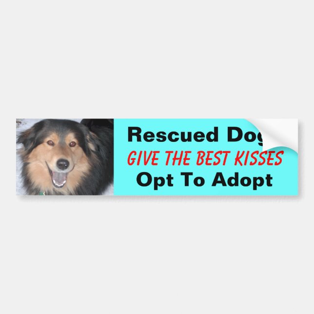 Rescue Dogs Give the Best Kisses!... Bumper Sticker (Front)