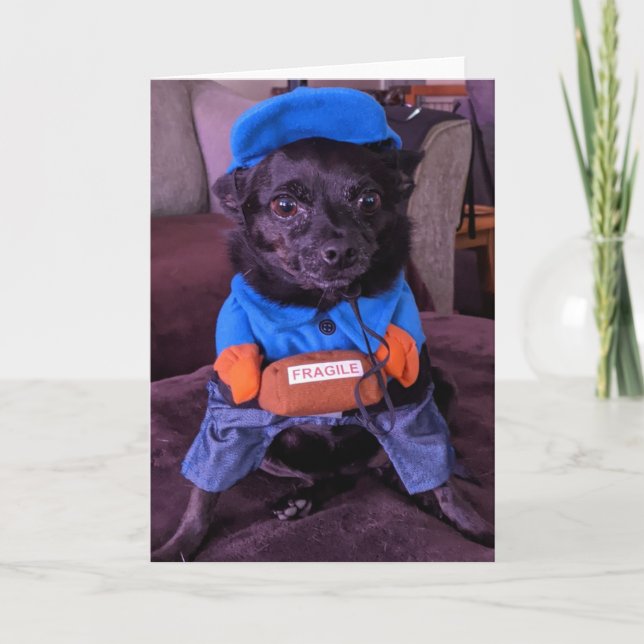 Rescue Dogs Standard, 5" x 7" Folded Greeting Card (Front)